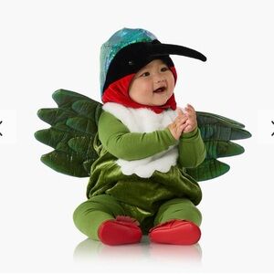Pottery Barn Kids Hummingbird Baby Costume